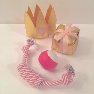 ⚡️ FLASH - Happy birthday pet bundle